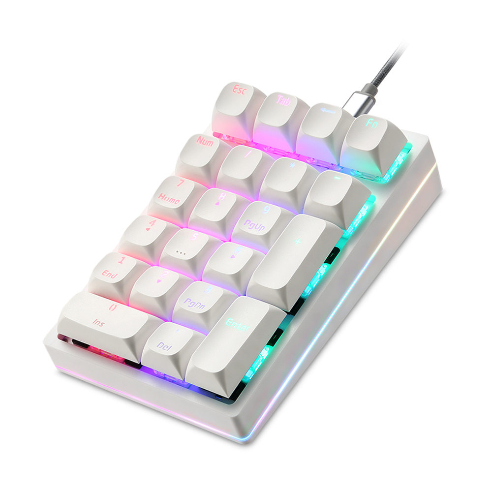 K24Pro 21Keys Number Pad Mecha - đánh giá và giá Keyboard Numpad Separate