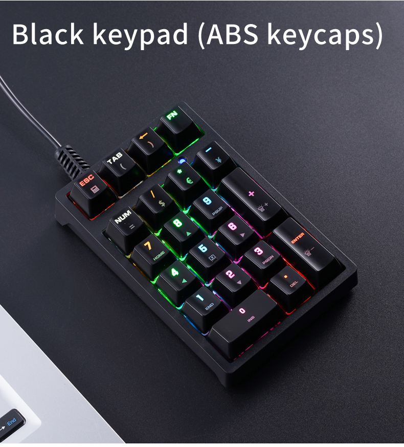 21-Key Mini Wired Keypad RGB B - đánh giá và giá Keyboard Numpad Separate