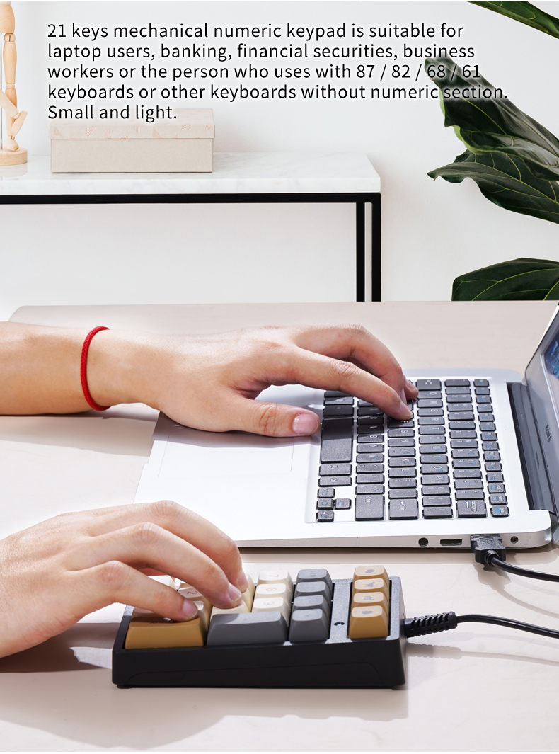 21-Key Mini Wired Keypad RGB B - đánh giá và giá Keyboard Numpad Separate